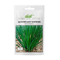 Цибуля шнітт Богемія Moravo/Чехія 1 г