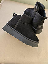 Уги ЧОРНІ BLACK з лейбл UGG на п'яточці Екозамша задник гумка напівчеревики на високій платформі жіночі зима, фото 2