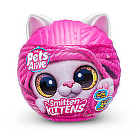 Інтерактивний ігровий набір Pets Alive - Грайливі кошенята