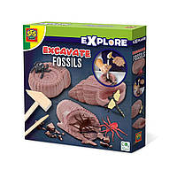 Набір серії Дослідник - Розкопки скам'янілих комах