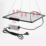 Фітолампа фітопанель для рослин, повний спектр 40Вт 500LED 220В фіто лампа, фото 3