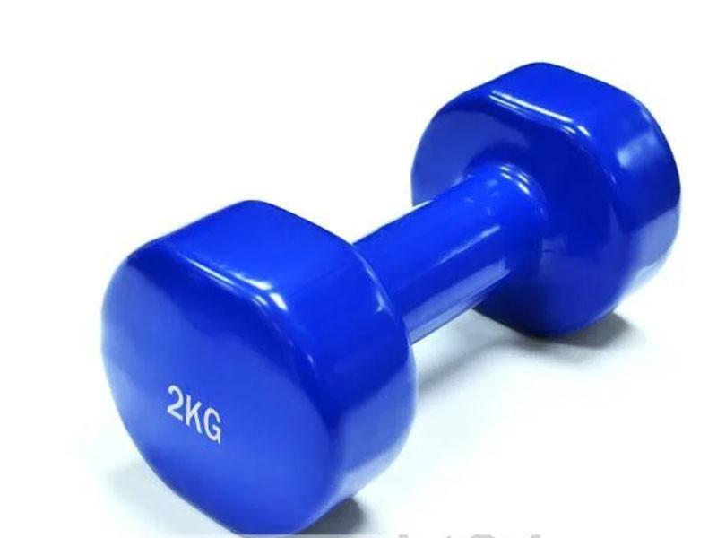 Гантель Profi 2 кг Синя, фото 1