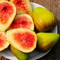 Саджанці інжиру сорт Далматський, конт. P9, фото 2