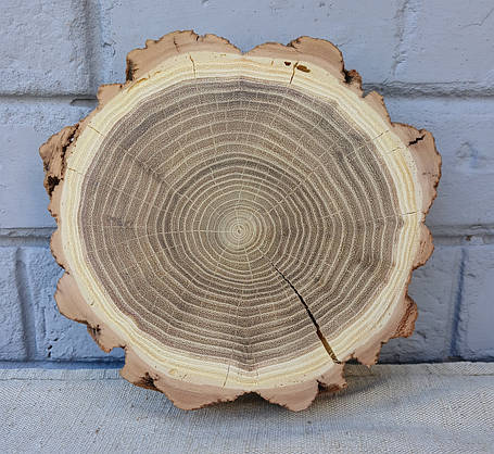 Зріз дерева для декору будинку, шліфований з двох боків, d 190х180 мм., фото 1