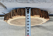Зріз дерева для декору будинку, шліфований з двох боків, d 190х180 мм., фото 2
