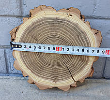 Зріз дерева для декору будинку, шліфований з двох боків, d 190х180 мм., фото 3