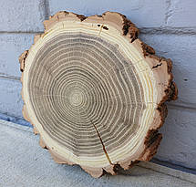 Зріз дерева для декору будинку, шліфований з двох боків, d 190х180 мм., фото 4