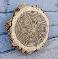 Зріз дерева для декору будинку, шліфований з двох боків, d 190х180 мм., фото 5