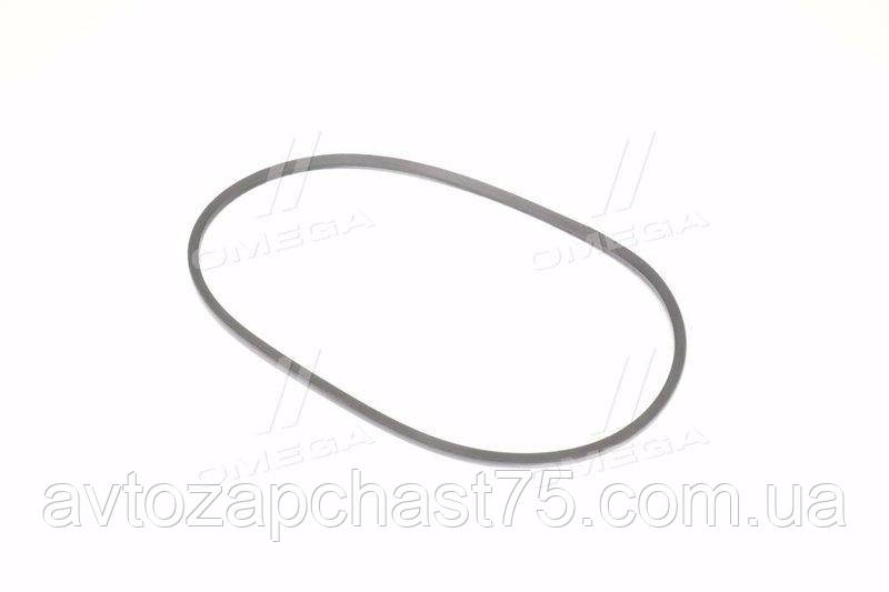 Ремінь генератору Газель, Газ 3302, 2705, Газ 3110, 31029 , Уаз 452, 469, двигун 402, розмір 8.5х8х1030 (Rider, Угорщина), фото 1