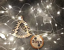 Новорічна світлодіодна гірлянда НА БАТАРЕЙКАХ 100 LED 10 м теплий білий