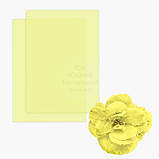 Вафельний папір ультратонкий А4 (для квітів) - Персиковий, фото 5