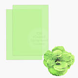 Вафельний папір ультратонкий А4 (для квітів) - Персиковий, фото 4