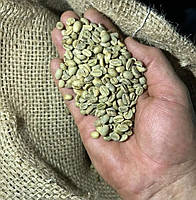 Кава в зернах зелена SIDAMO Gr5 100% Арабіка 60 кг