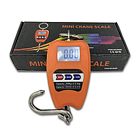 Кантер 200 кг