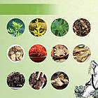 Пластир гріючий #1 для шиї, фото 2