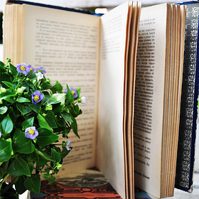 82- Книжкова платформа