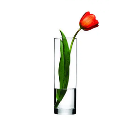 Скляні вази