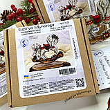 Набір для вишивання Suzir'ya Edinoroga “Різдвяний коник” 1122, фото 2