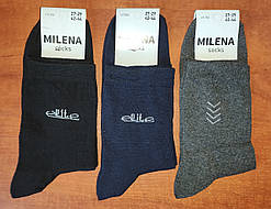 Чоловічі носки стрейчеві "Milena". р. 27-29 (42-44). Асорті.