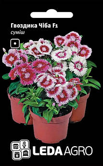 Гвоздика китайська Чіба F1, суміш 10 шт (Leda Agro)