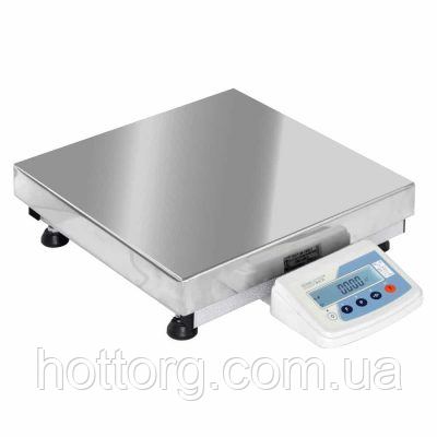 Ваги лабораторні платформні TBE-30-0,5-(250х300)-13р, фото 1
