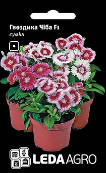 Чіба F1, гвоздика китайська, суміш 50 шт (Leda Agro)