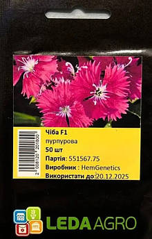 Гвоздика китайська Чіба F1, пурпурова 50 шт (Leda Agro)