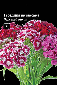 Перський Килим, гвоздика китайська, суміш 0,1 г (Leda Agro)