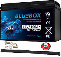 Акумулятор гелевий Bluebox GEL 12 V 100 Ah VRLA
