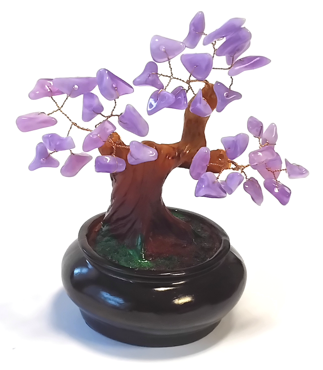 Грошове дерево бузкове 14 см, фото 1