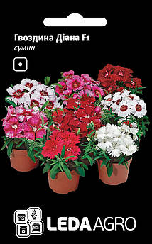 Гвоздика китайська Діана F1, суміш 10 шт (Leda Agro)