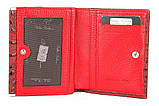 Гаманець Firenze червоний 105-912, фото 4