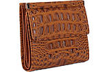 Гаманець Firenze  рудий 105-13, фото 2