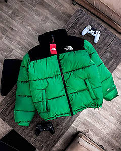 Чоловіча зимова куртка на пуху фіолетоваThe North Face 700/пуховик Зелений