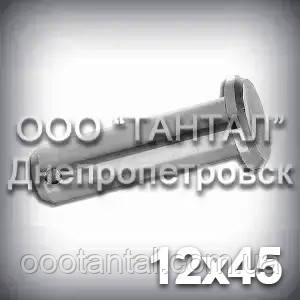 Палець — вісь 12х45 DIN 1444 В (ГОСТ 9650-80 тип 6) ISO 2341сталевий оцинкований, фото 1