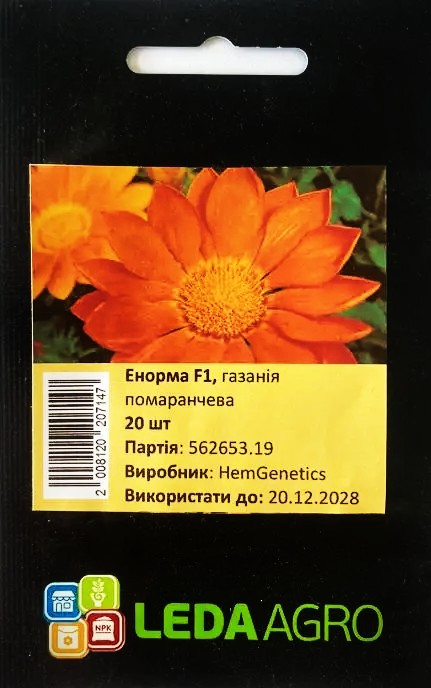 Газанія Енорма, помаранчева 20 шт (Leda Agro), фото 1
