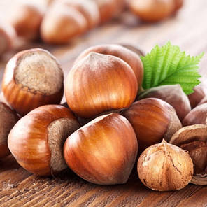 Фундук сорт Барселонський 2 річний, конт. 2 л, фото 3