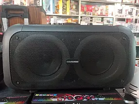 Портативна акустична система Temeisheng TMS-6616 25*2Вт 8"+3.5" з Bluetooth, караоке та радіомікрофонами, фото 3