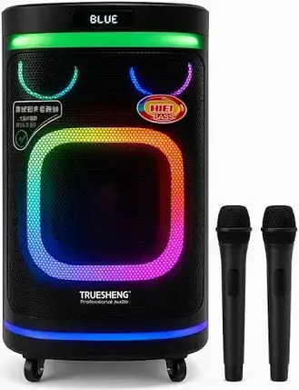 Активна портативна колонка Temeisheng 10291 80Вт з Bluetooth, USB/SD, 2 радіомікрофонами та акумулятором, фото 1