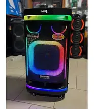 Активна портативна колонка Temeisheng 10291 80Вт з Bluetooth, USB/SD, 2 радіомікрофонами та акумулятором, фото 2