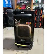 Активна портативна колонка Temeisheng 10291 80Вт з Bluetooth, USB/SD, 2 радіомікрофонами та акумулятором, фото 3