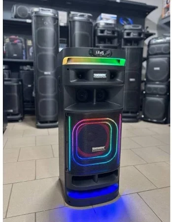 Портативна колонка Temeisheng 10301 – 80W, Bluetooth, TWS, RGB, мікрофони, FM, USB, AUX