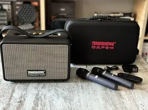 Bluetooth колонка Temeisheng MX-0503 – 2 мікрофони, потужний звук, баси, акумулятор, фото 2