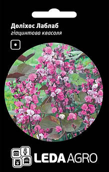 Доліхос Лаблаб, гіацинтова квасоля, фіолетова 1 г (ЛАН)