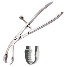 Кісткотримачи