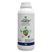 Протруйник Шедевр ProtectON - 1 л