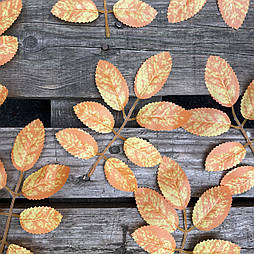 Листя калини осінні жевте (20 шт в уп)