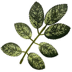 Листя калини осінні зелене (20 шт в уп)