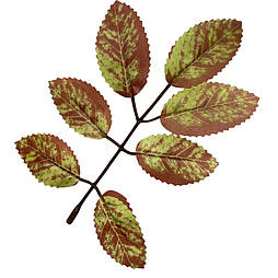 Листя калини осінні зелене (20 шт в уп)