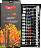 Набір художніх олійних фарб WORISON в тубах 12 кольорів по 12 мл (WN-O8816), фото 2